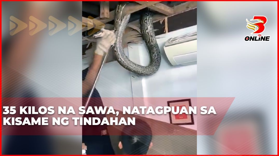 ⁣35 kilos na sawa, natagpuan sa kisame ng tindahan