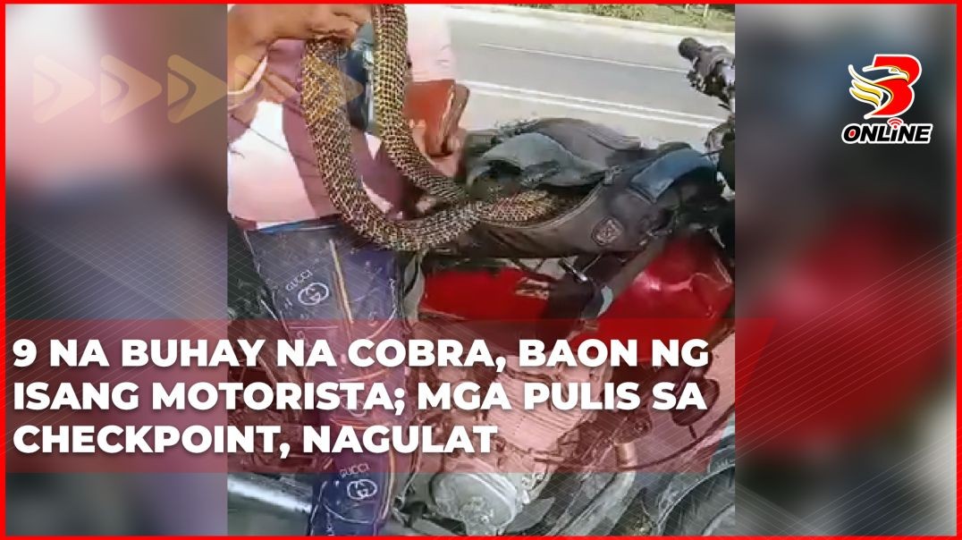 ⁣9 na buhay na cobra, baon ng isang motorista; mga pulis sa checkpoint, nagulat