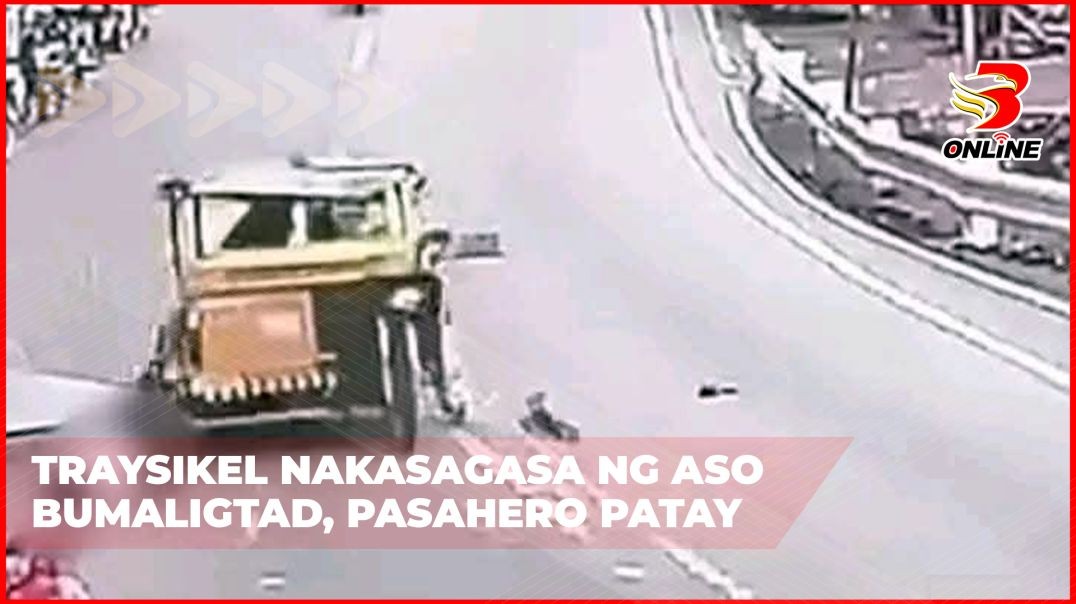 Traysikel nakasagasa ng aso bumaligtad, pasahero patay
