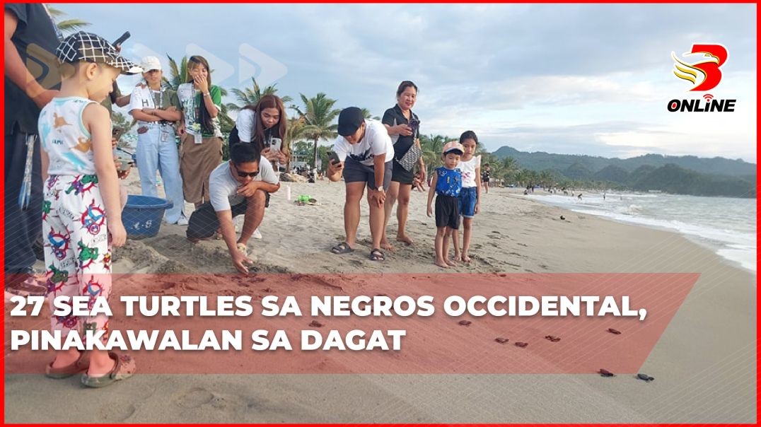 ⁣27 sea turtles sa Negros Occidental, pinakawalan sa dagat
