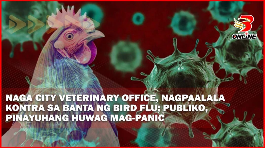 ⁣Naga City Veterinary Office, nagpaalala kontra banta ng Bird Flu; Publiko, pinayuhang huwag mag-pani