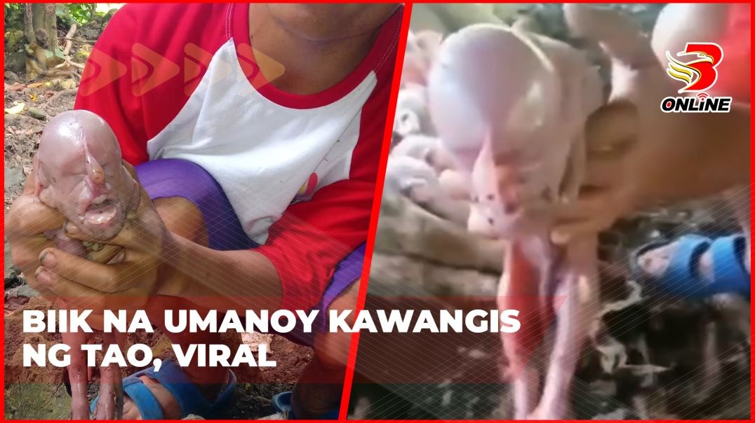 Biik na umanoy kawangis ng tao, viral