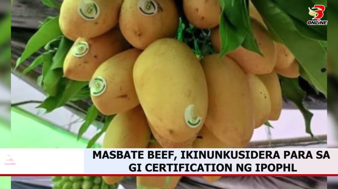 ⁣Masbate beef, ikinunkusidera para sa GI certification ng IPOPHL
