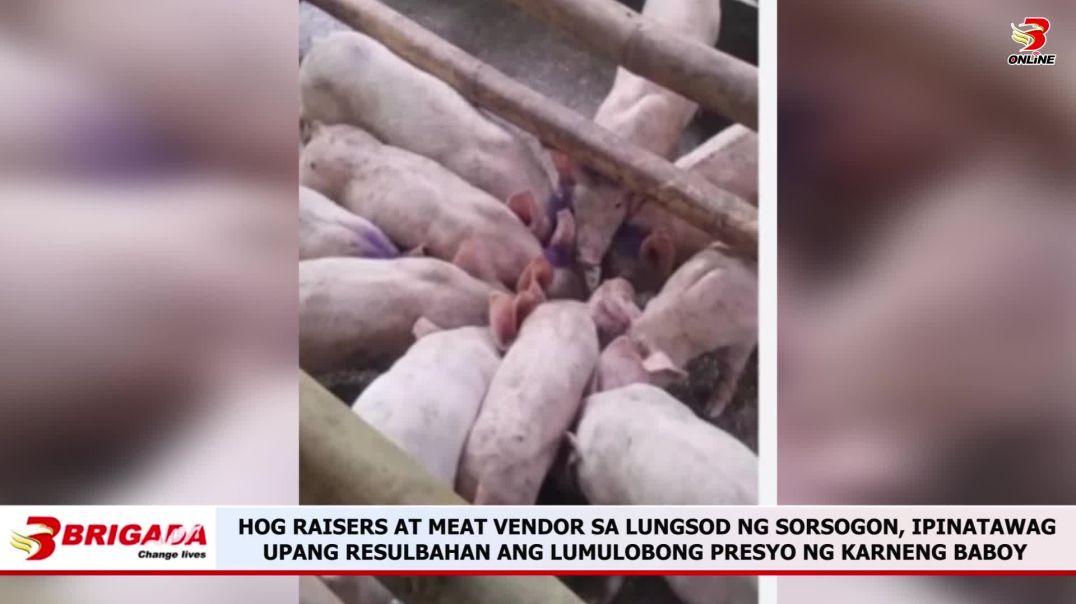 ⁣HOG RAISERS AT MEAT VENDOR SA LUNGSOD NG SORSOGON, IPINATAWAG UPANG RESULBAHAN ANG LUMULOBONG PRESYO