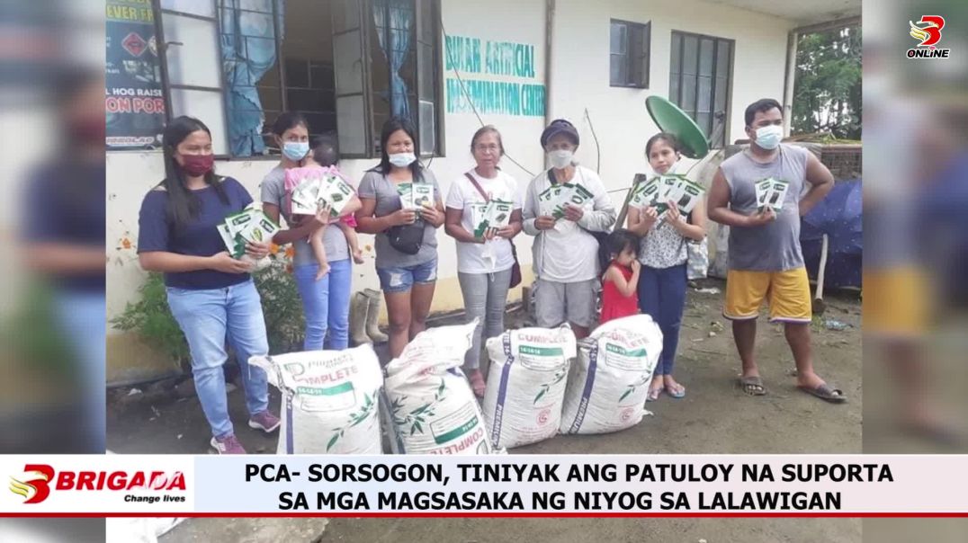 ⁣PCA- SORSOGON, TINIYAK ANG PATULOY NA SUPORTA SA MGA MAGSASAKA NG NIYOG SA LALAWIGAN