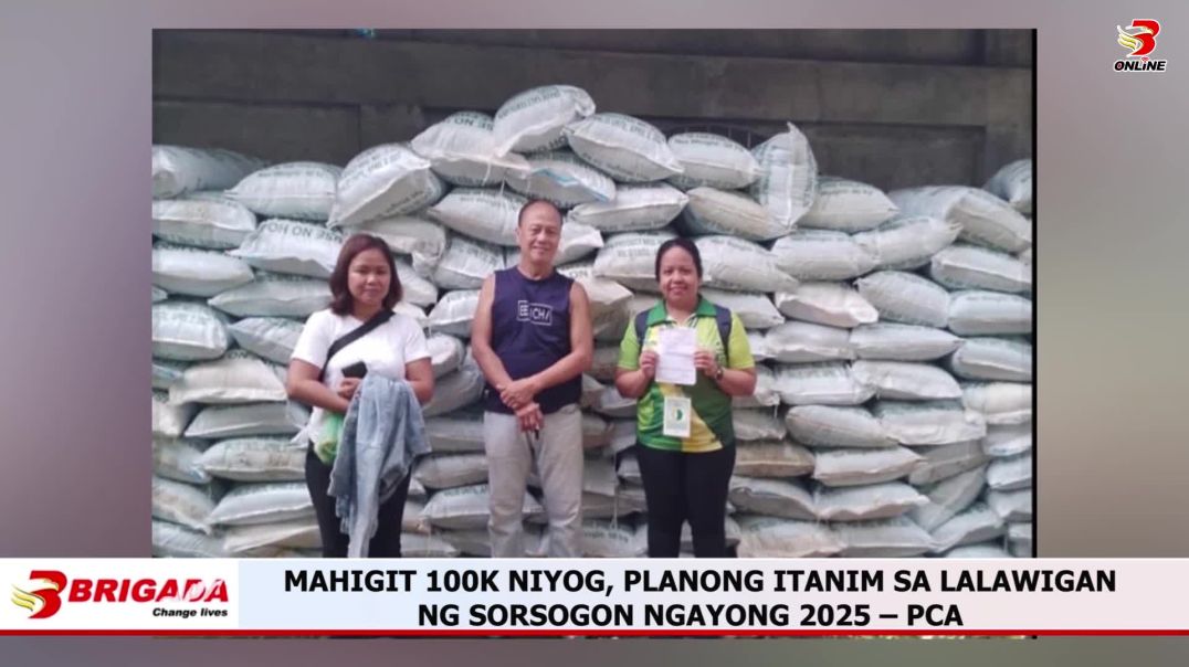 ⁣MAHIGIT 100K NIYOG, PLANONG ITANIM SA LALAWIGAN NG SORSOGON NGAYONG 2025 – PCA