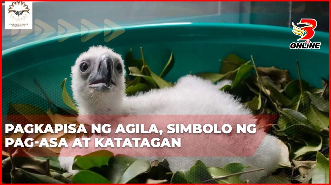 ⁣Pagkapisa ng Agila, simbolo ng pag-asa at katatagan