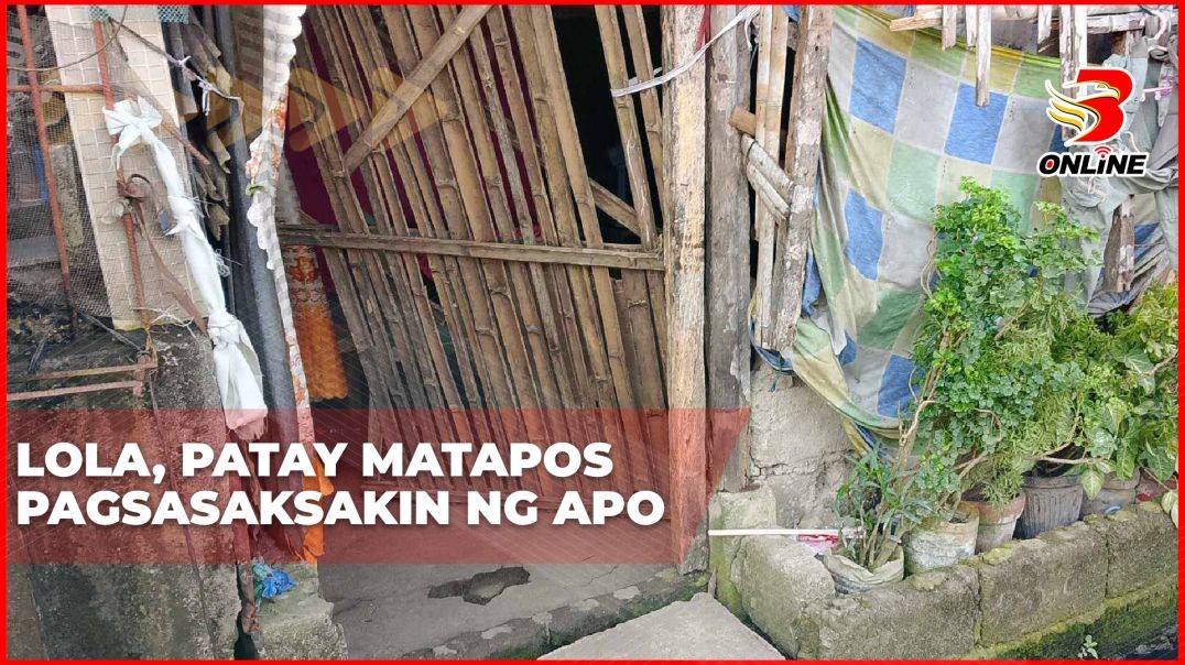 Lola, patay matapos pagsasaksakin ng apo