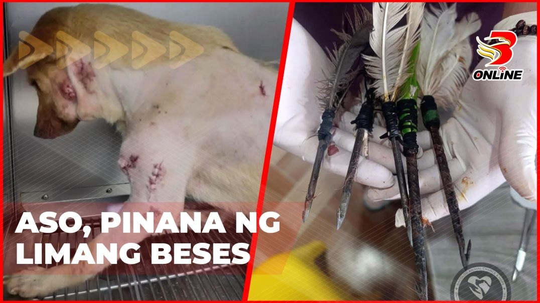 ⁣Aso, pinana ng limang beses