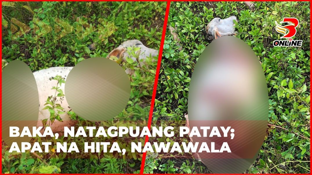 Baka, natagpuang patay; Apat na hita, nawawala
