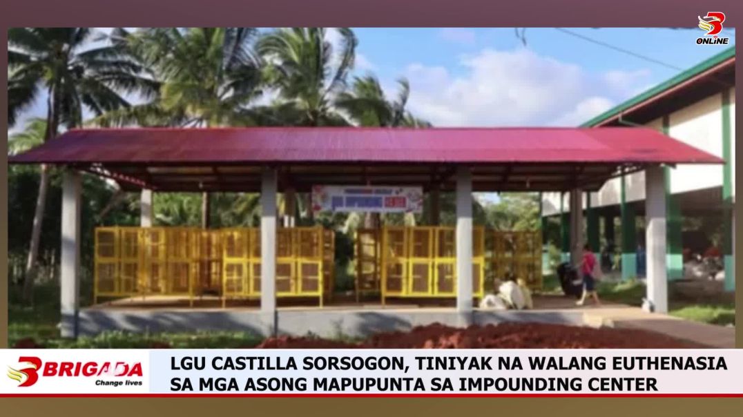 ⁣LGU CASTILLA SORSOGON, TINIYAK NA WALANG EUTHENASIA SA MGA ASONG MAPUPUNTA SA IMPOUNDING CENTER