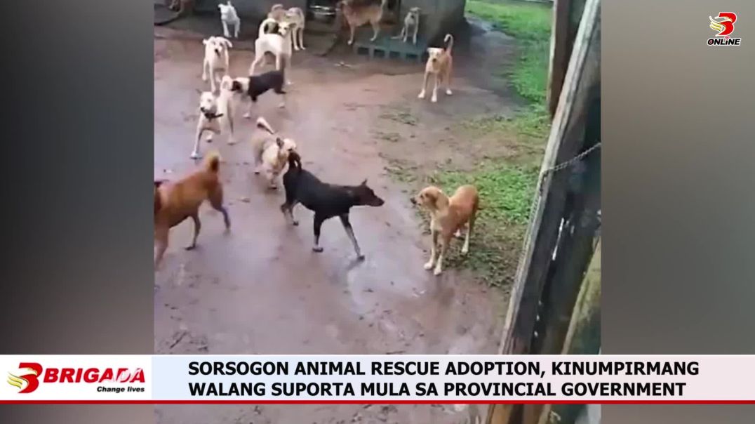 ⁣SORSOGON ANIMAL RESCUE ADOPTION, KINUMPIRMANG WALANG SUPORTA MULA SA PROVINCIAL GOVERNMENT