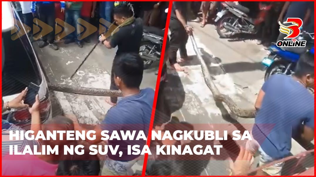 ⁣Higanteng sawa nagkubli sa ilalim ng SUV, isa kinagat