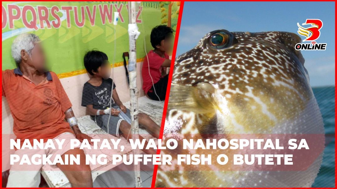 ⁣Nanay patay, walo nahospital sa pagkain ng puffer fish o Butete