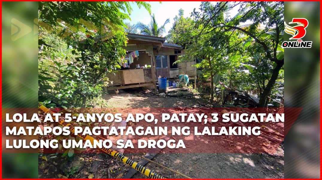 Lola at 5-anyos apo, patay; 3 sugatan matapos pagtatagain ng lalaking lulong umano sa droga