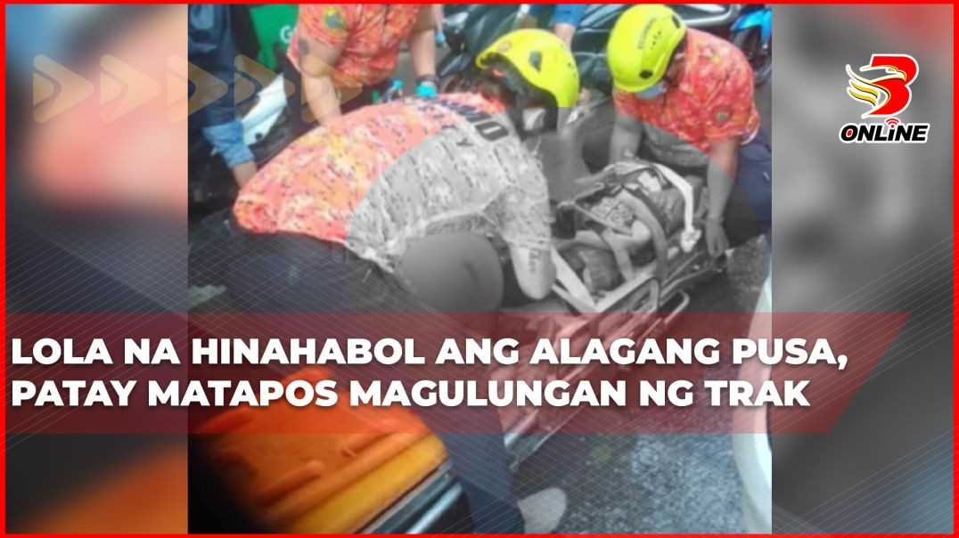 ⁣Lola na hinahabol ang alagang pusa, patay matapos magulungan ng trak