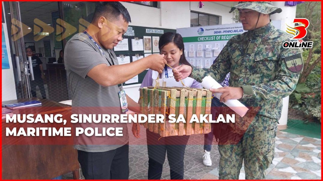 ⁣Musang, sinurrender sa Aklan Maritime Police