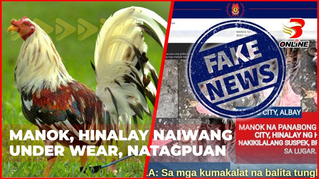 Manok, hinalay Naiwang under wear, natagpuan