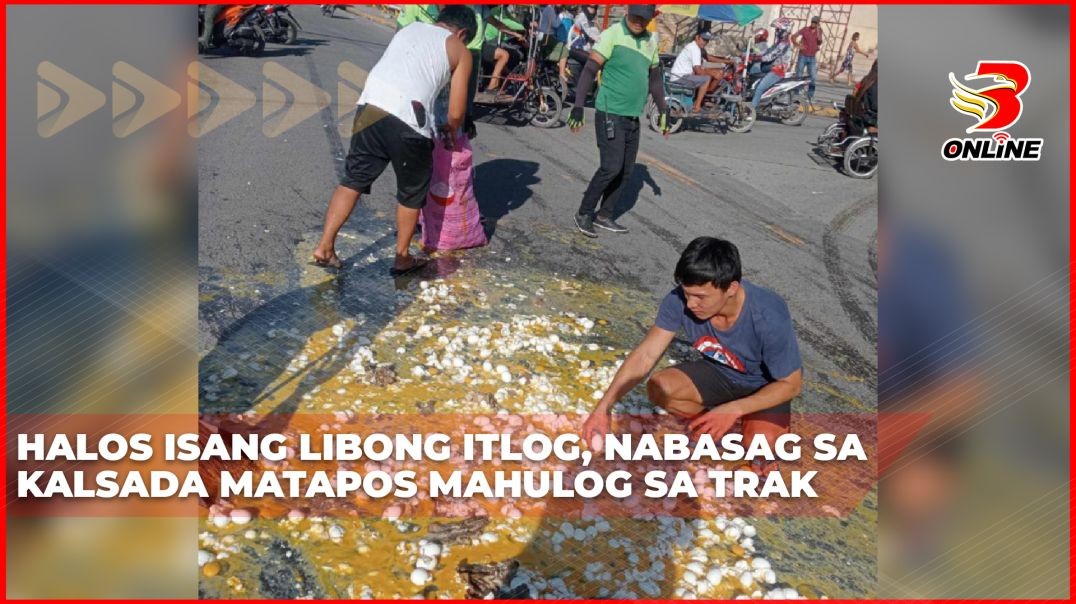 Halos isang libong itlog, nabasag sa kalsada matapos mahulog sa trak