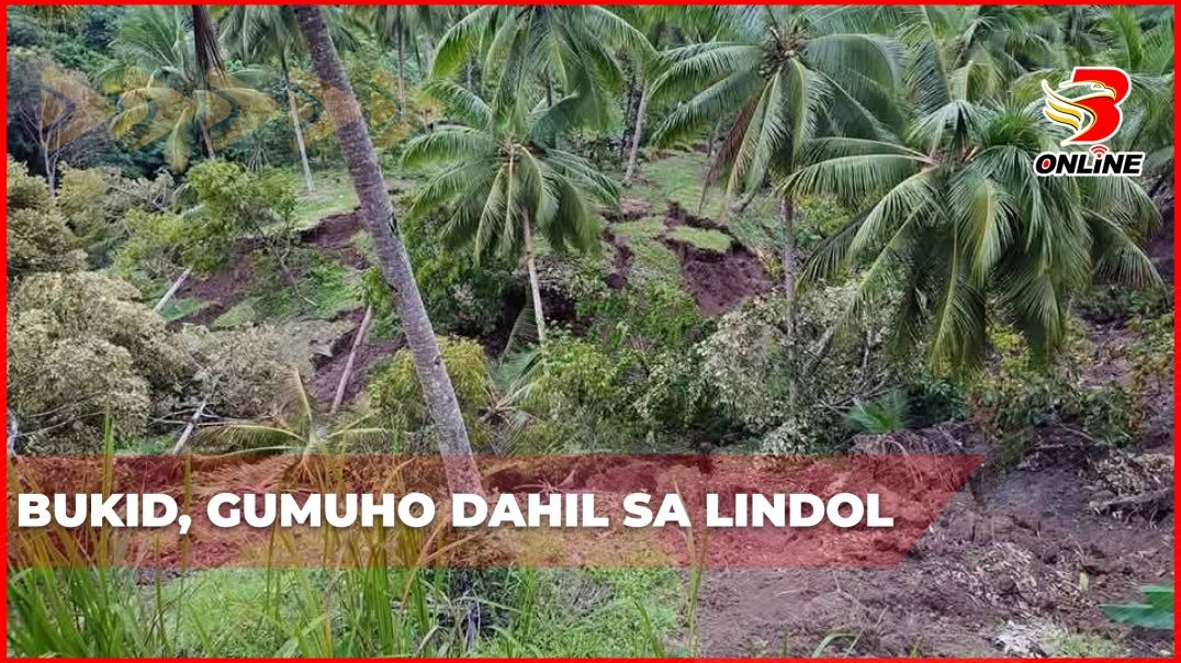 Bukid, gumuho dahil sa lindol