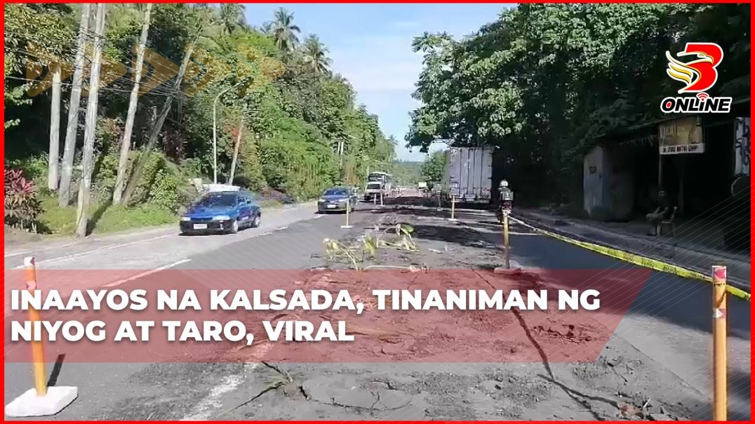 Inaayos na kalsada, tinaniman ng niyog at taro, viral