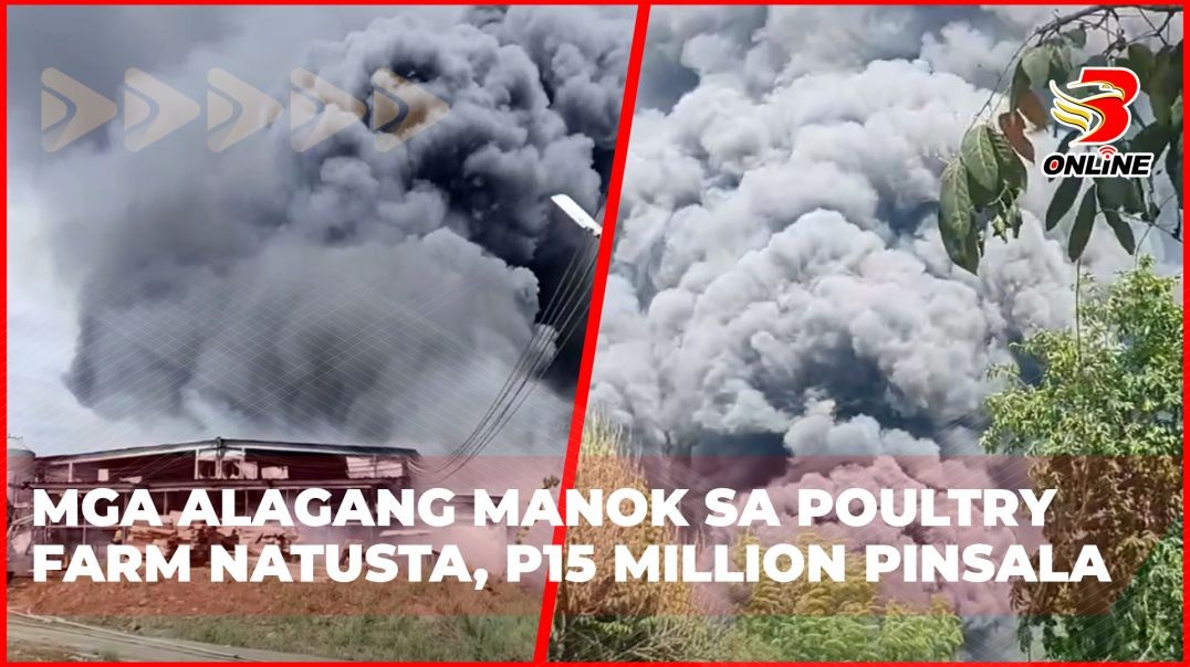 ⁣Mga alagang manok sa poultry farm natusta, P15Million pinsala