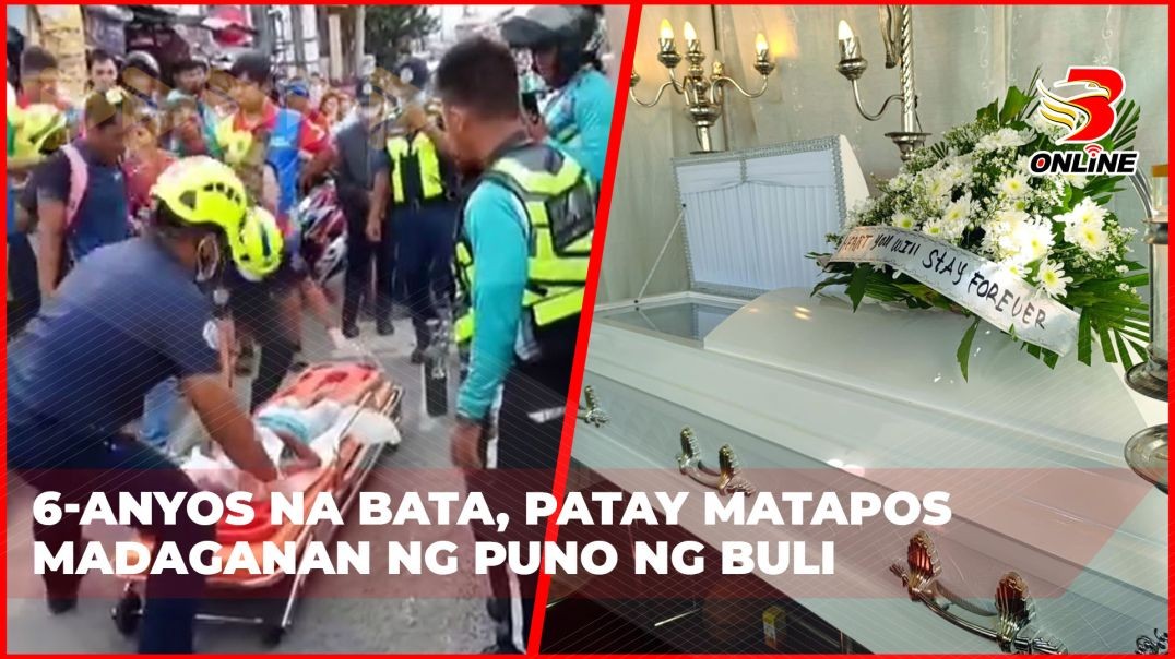 6-anyos na bata, patay matapos madaganan ng puno ng buli