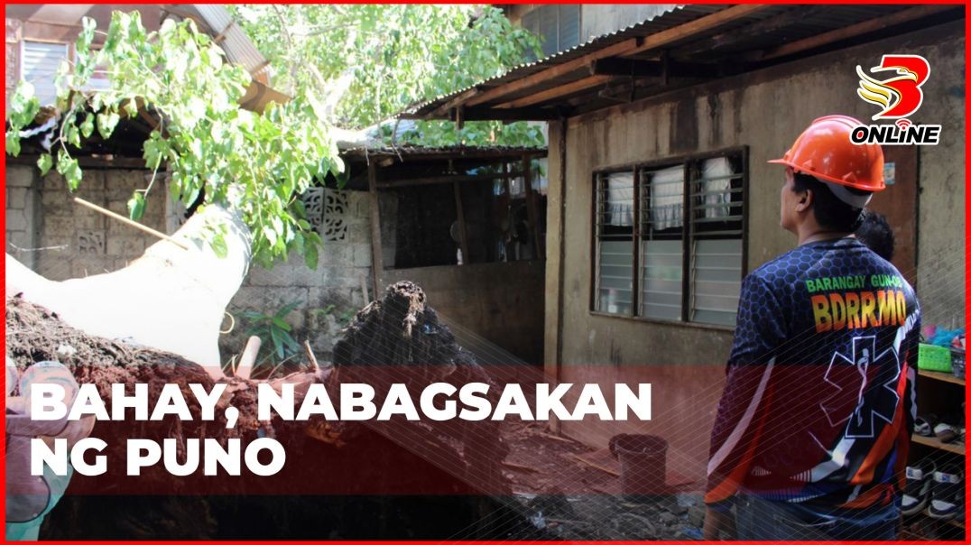 ⁣Bahay, nabagsakan ng puno