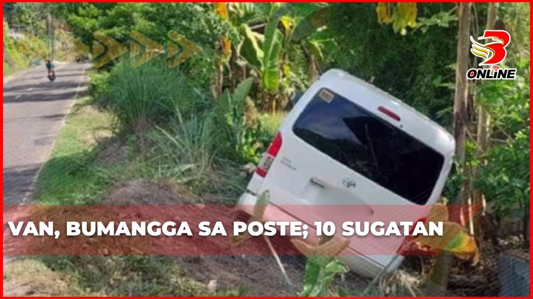 Van, bumangga sa poste; 10 sugatan
