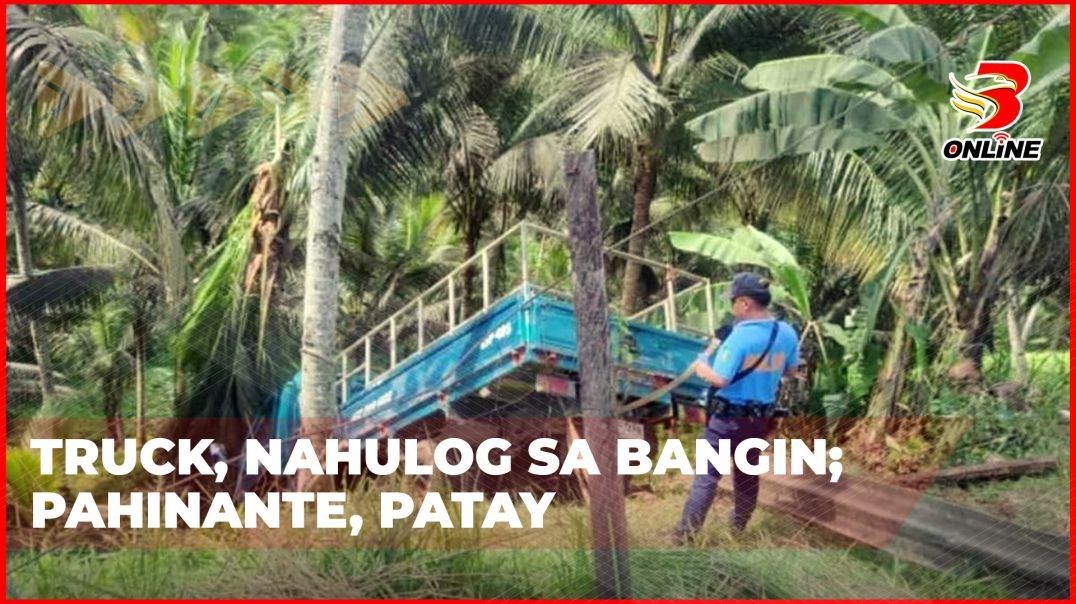 ⁣Truck, nahulog sa bangin; Pahinante, patay