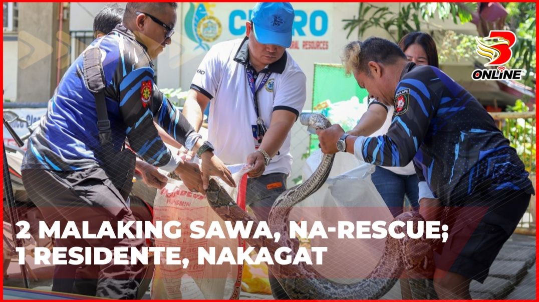 ⁣2 malaking sawa, na-rescue;1 residente, nakagat
