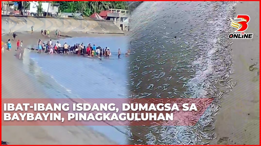 ⁣Ibat-ibang isdang, dumagsa sa baybayin, pinagkaguluhan