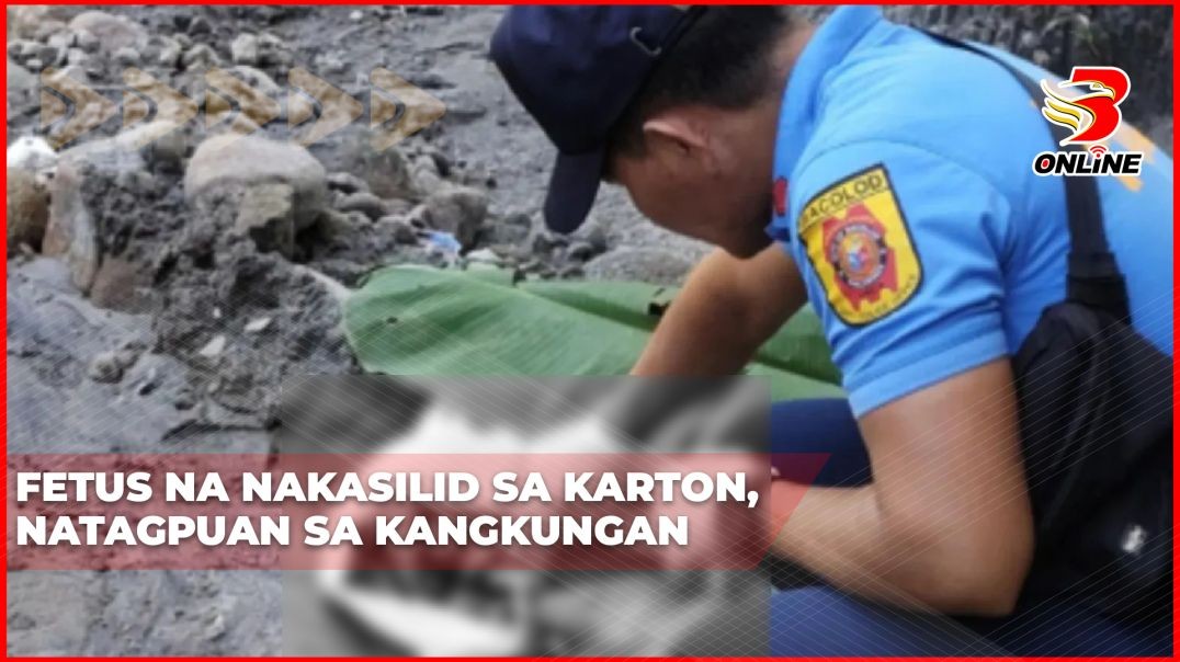 ⁣Fetus na nakasilid sa karton, natagpuan sa kangkungan