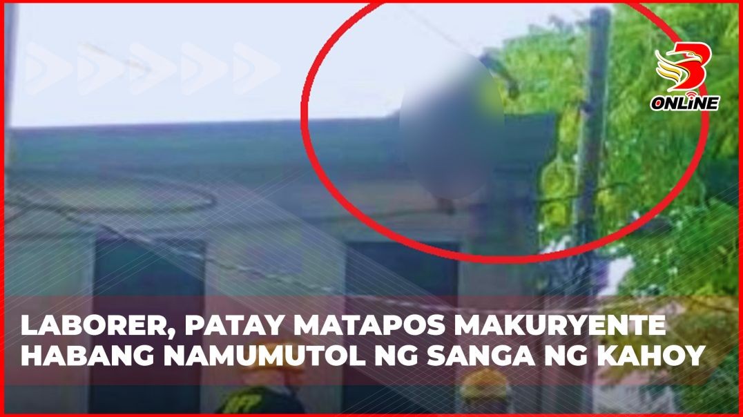 ⁣Laborer, patay matapos makuryente habang namumutol ng sanga ng kahoy