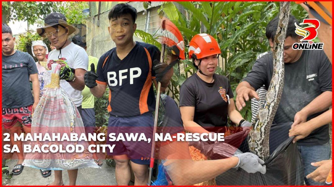 ⁣2 mahahabang sawa, na-rescue sa Bacolod City