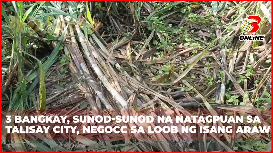 ⁣3 bangkay, sunod-sunod na natagpuan sa Talisay City, NegOcc sa loob ng isang araw