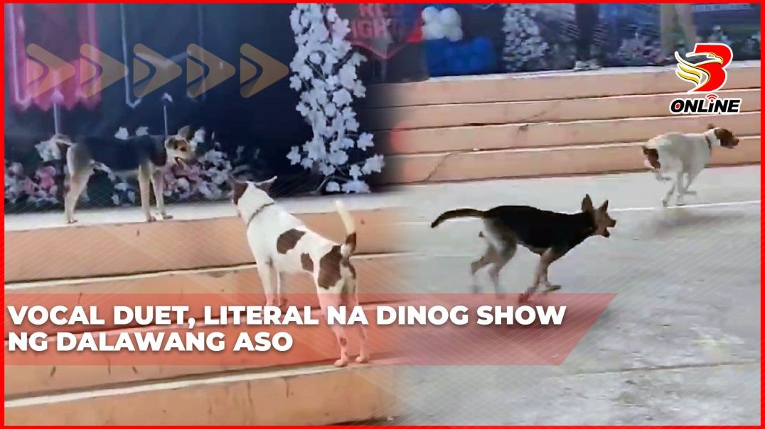 ⁣Vocal duet, literal na dinog show ng dalawang aso