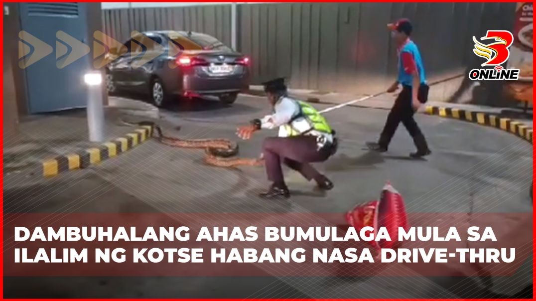⁣Dambuhalang ahas bumulaga mula sa ilalim ng kotse habang nasa drive-thru