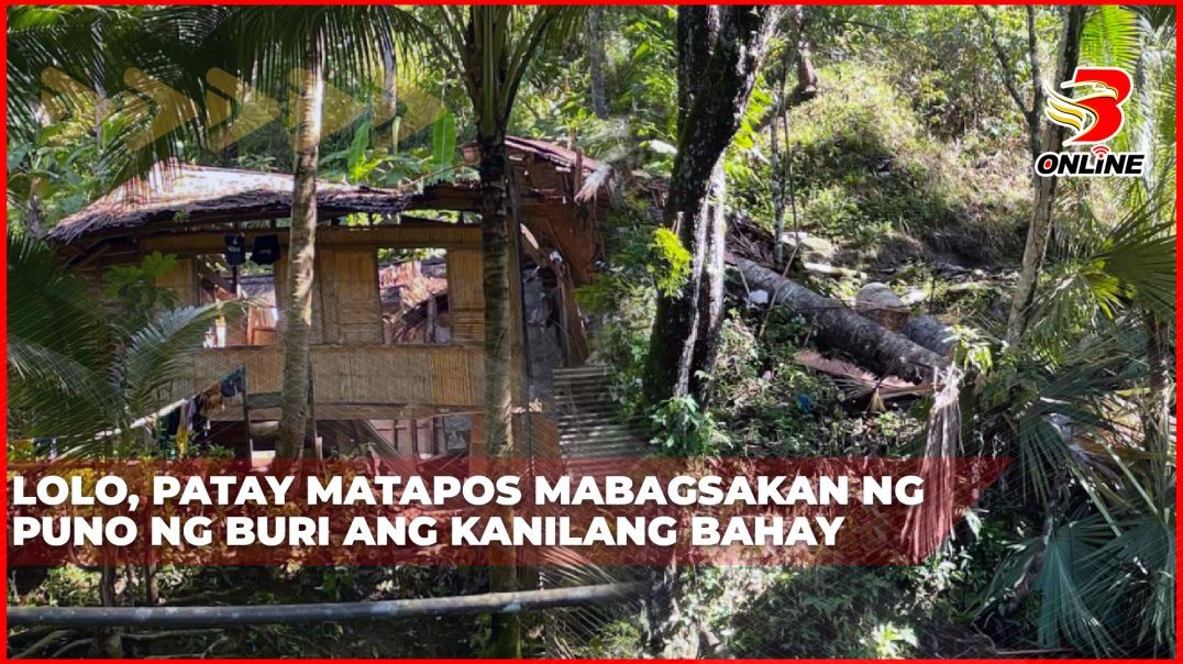 ⁣Lolo, patay matapos mabagsakan ng puno ng buri ang kanilang bahay
