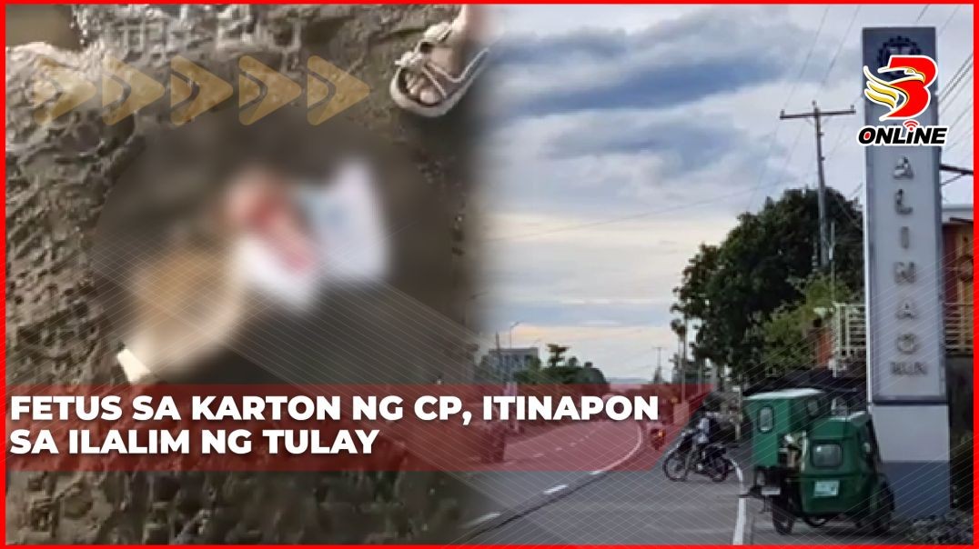 ⁣Fetus sa karton ng CP, itinapon sa ilalim ng tulay