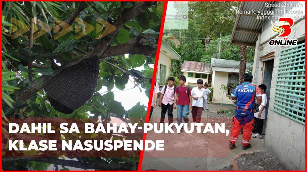 ⁣Dahil sa bahay-pukyutan, klase nasuspende