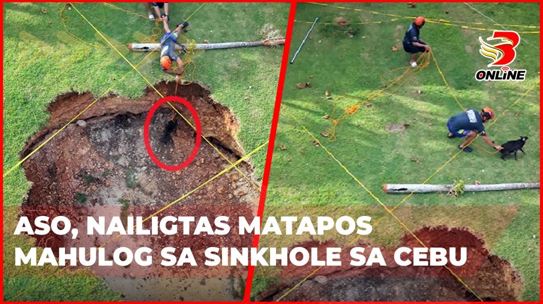 ⁣Aso, nailigtas matapos mahulog sa sinkhole sa Cebu