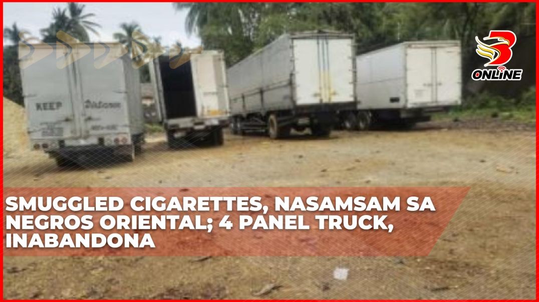 ⁣Smuggled cigarettes, nasamsam sa Negros Oriental; 4 panel truck, inabandona
