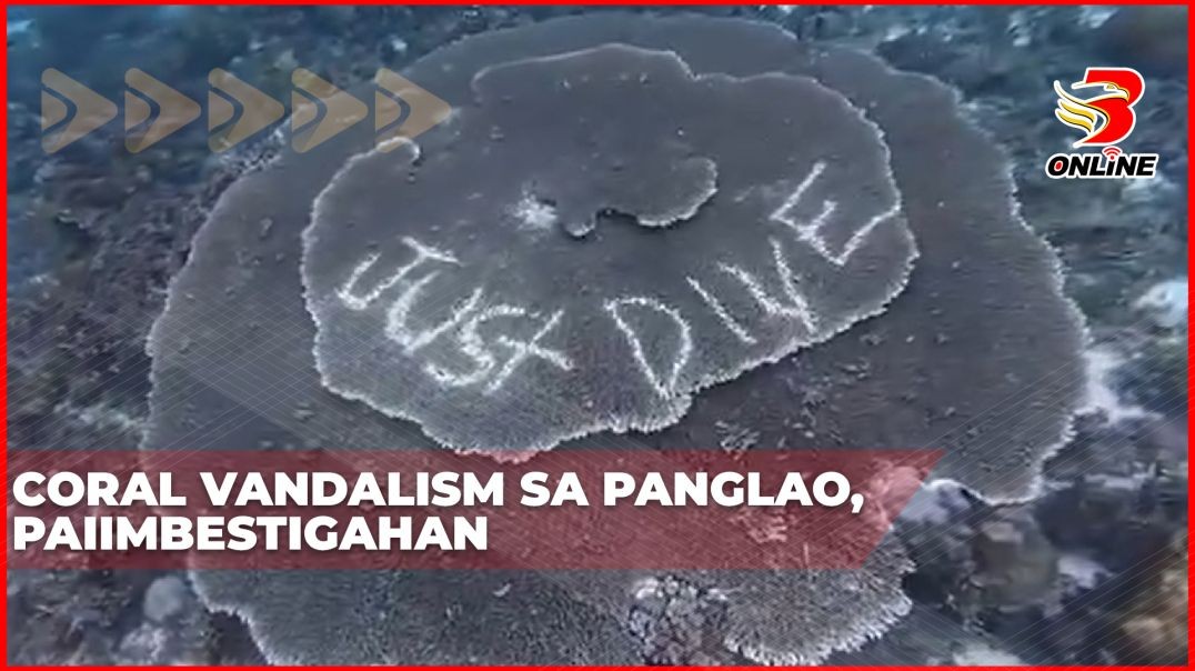 ⁣Coral vandalism sa Panglao, paiimbestigahan