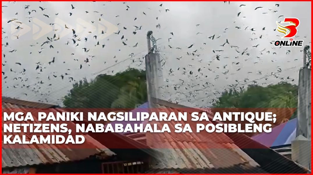 ⁣Mga paniki nagsiliparan sa Antique;Netizens, nababahala sa posibleng kalamidad