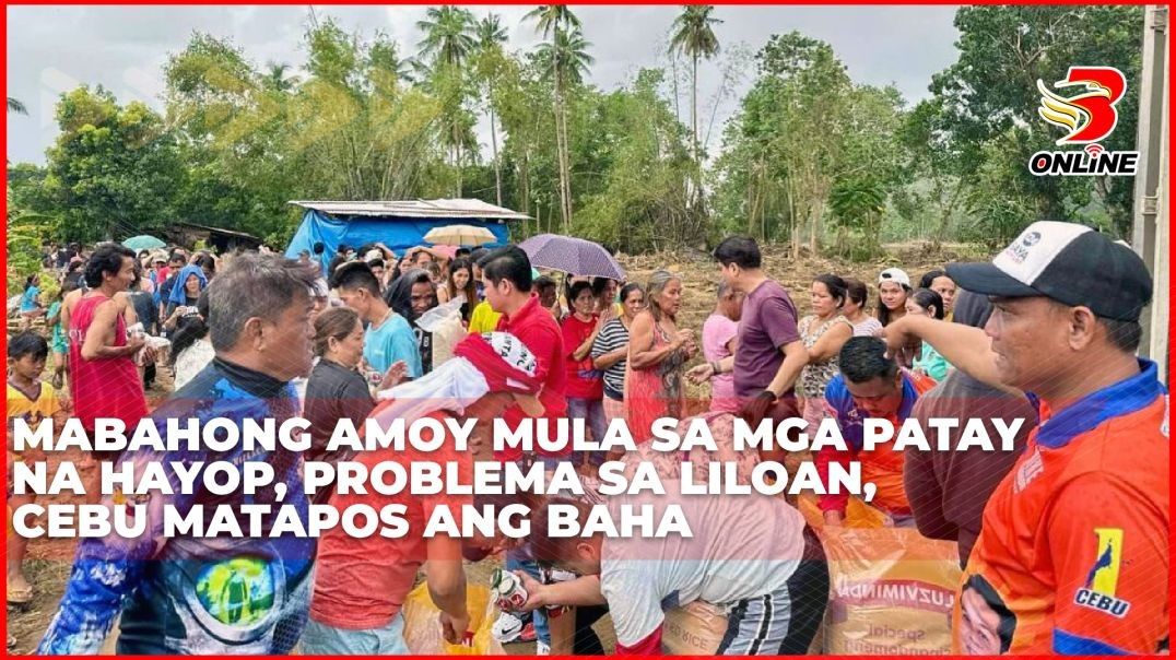 ⁣Mabahong amoy mula sa mga patay na hayop, problema sa Liloan, Cebu matapos ang baha