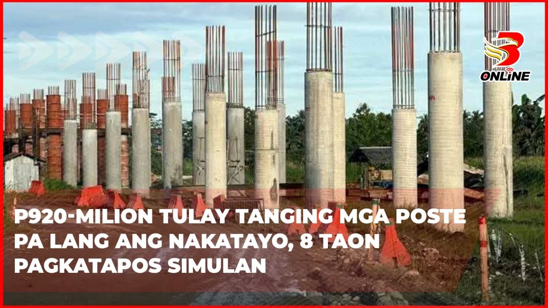 ⁣P920-milion tulay tanging mga poste pa lang ang nakatayo, 8 taon pagkatapos simulan