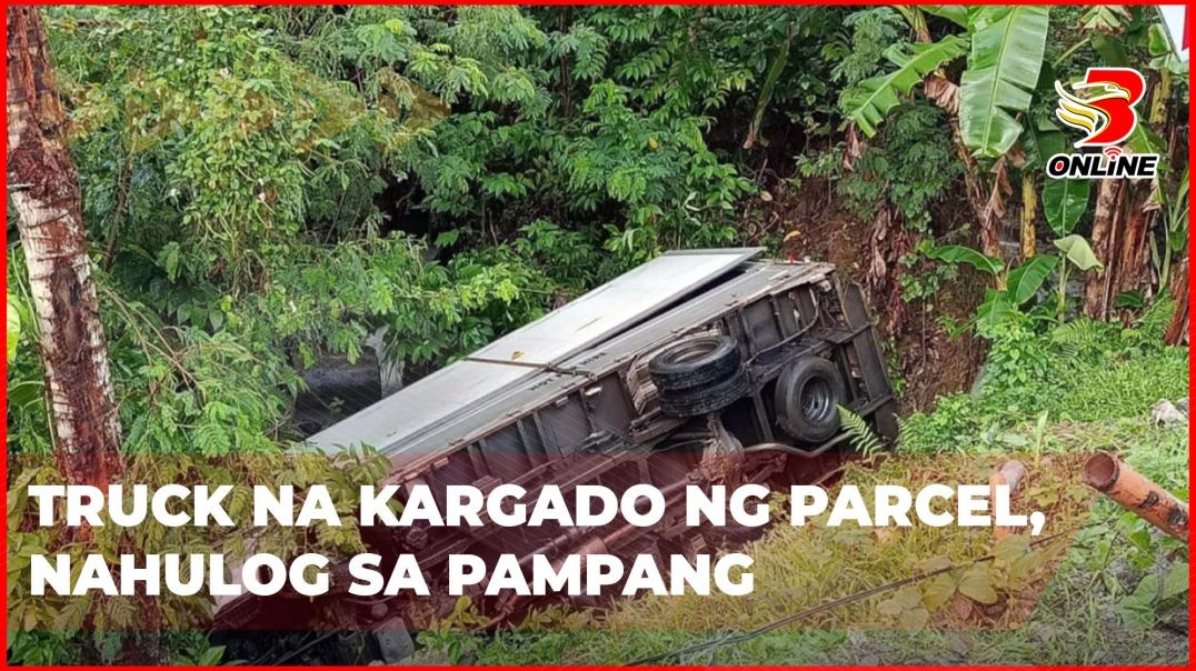 ⁣Truck na kargado ng parcel, nahulog sa pampang