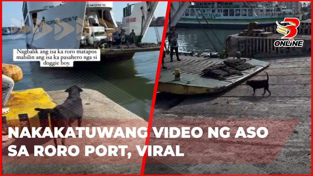 ⁣Nakakatuwang video ng aso sa Roro Port, viral