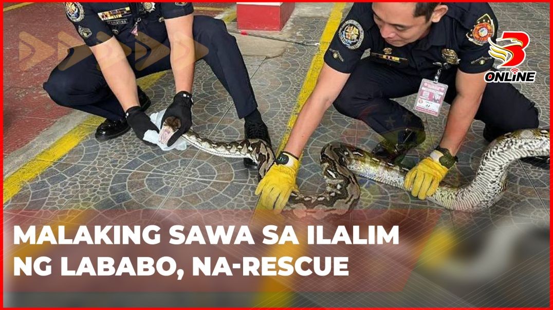 ⁣Malaking sawa sa ilalim ng lababo, na-rescue